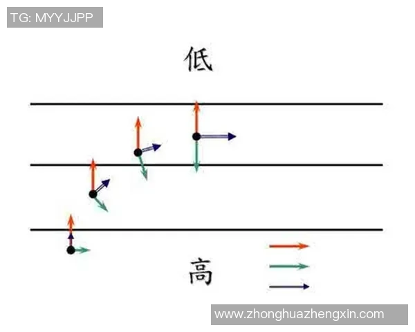 广州排球队速度分析与提升策略探讨助力球队竞技水平提升